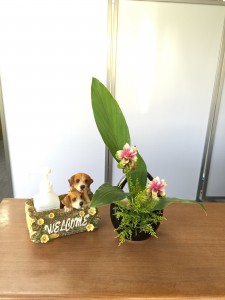 IMG_候補 (2)