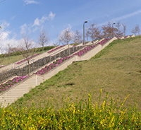 瀬野川公園イメージ
