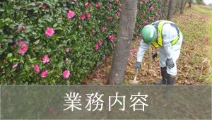 業務内容