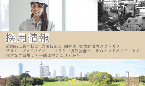 採用情報