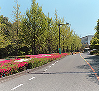 大学構内管理工事イメージ