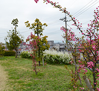 K公園工事イメージ