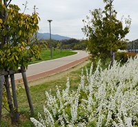 K公園工事イメージ