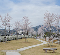 S公園工事イメージ