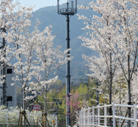 S公園工事イメージ